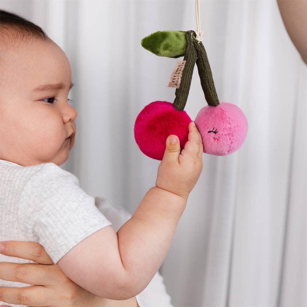 Mini Market Brunch Stroller Toys - Pineapple & Cherries