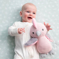 Gary the Galah - Knitted Toy