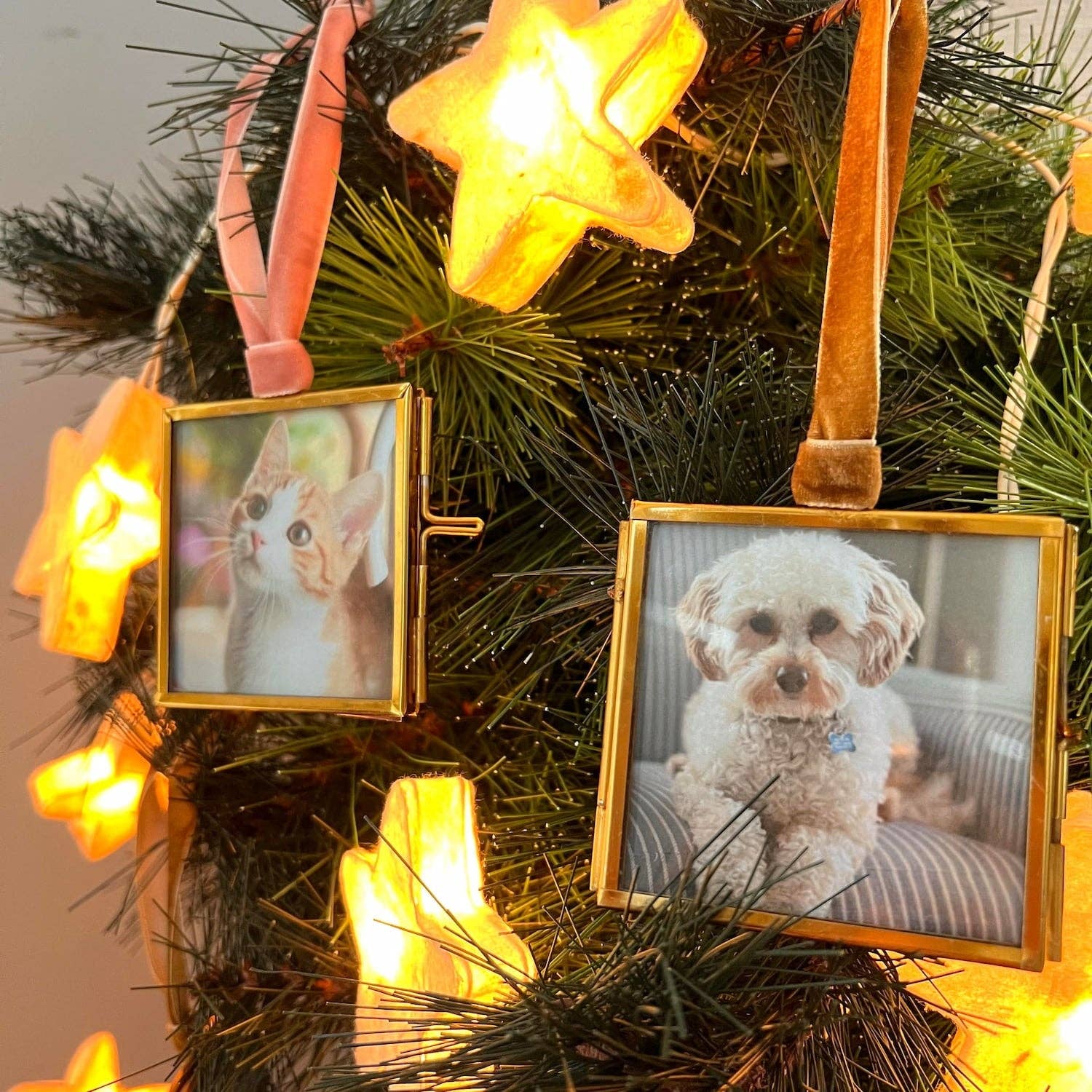 Mini Frames