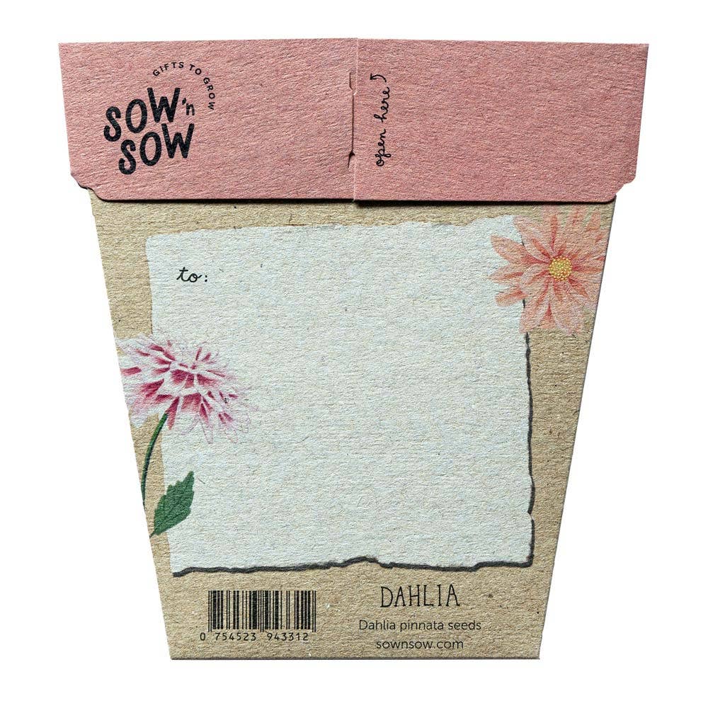 Dahlia Gift of Seeds | Sow 'n Sow