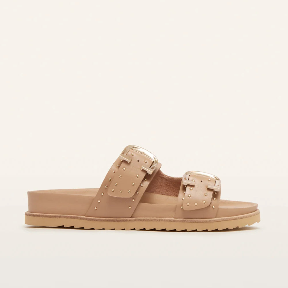 Frankie4 Deon Camel Stud