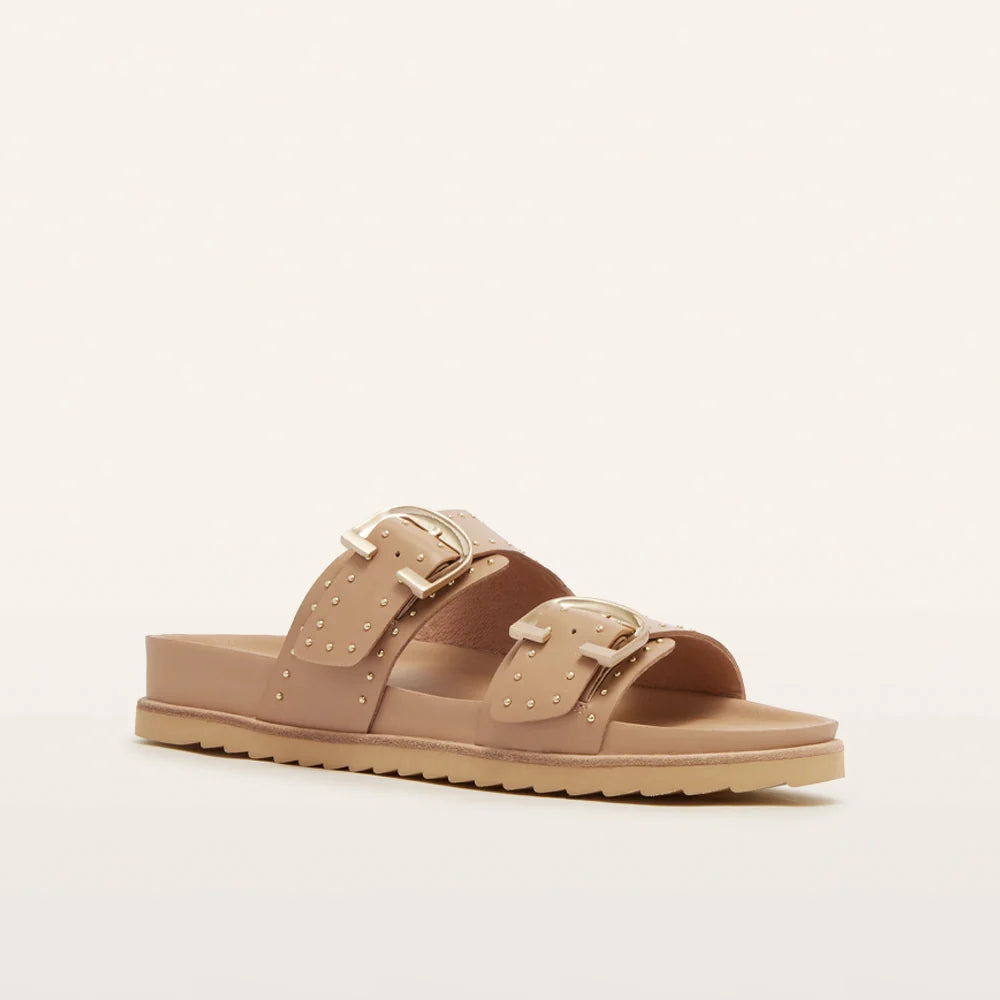 Frankie4 Deon Camel Stud