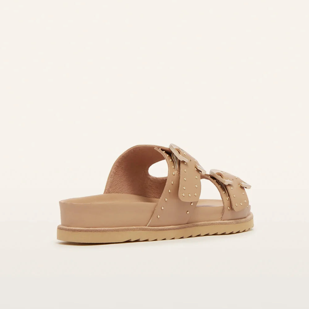Frankie4 Deon Camel Stud