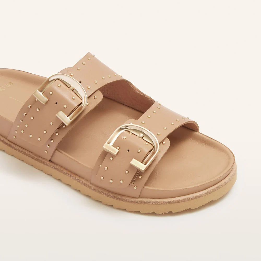 Frankie4 Deon Camel Stud
