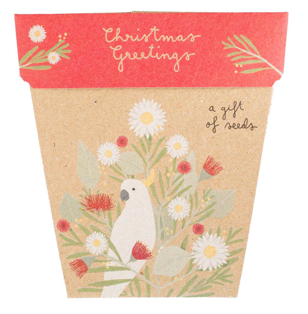 Australian Christmas Gift of Seeds | Sow 'n Sow