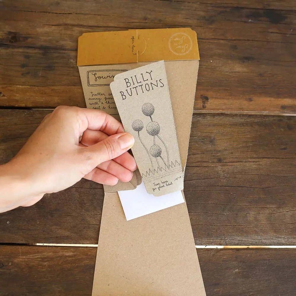 Billy Buttons Gift of Seeds | Sow 'n Sow