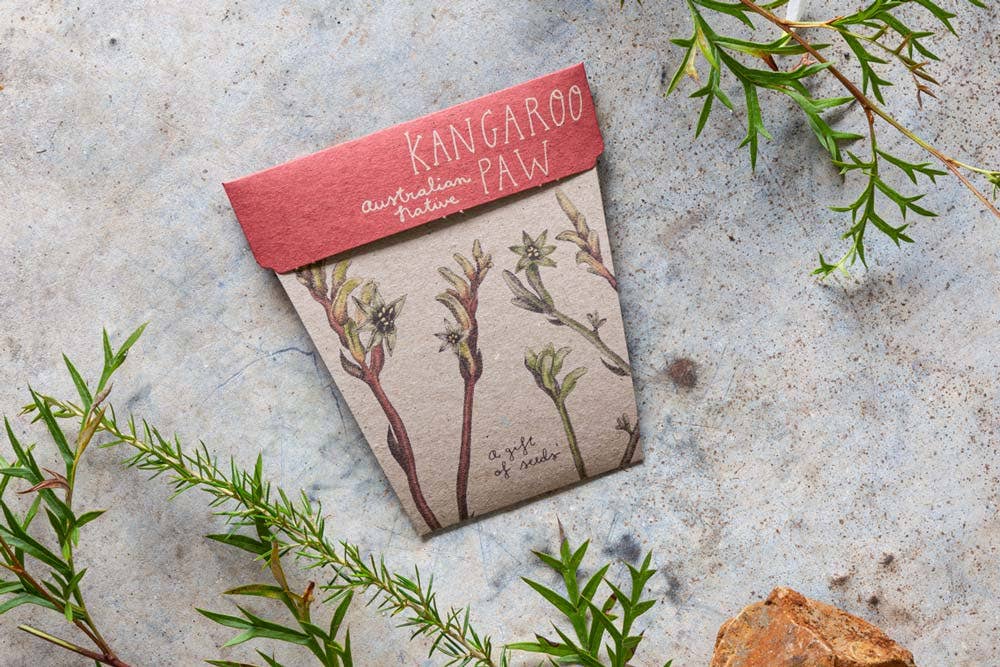 Kangaroo Paw Gift of Seeds | Sow 'n Sow