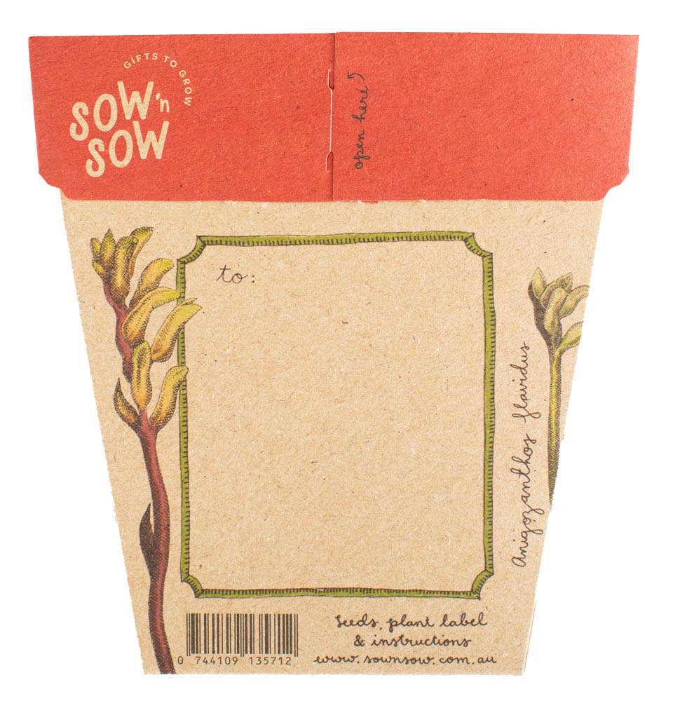 Kangaroo Paw Gift of Seeds | Sow 'n Sow