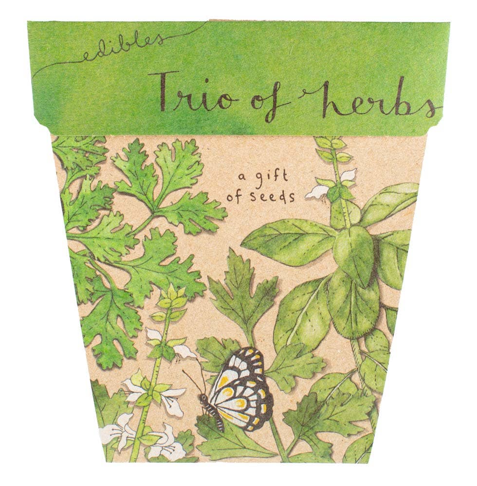 Trio of Herbs Gift of Seeds | Sow 'n Sow