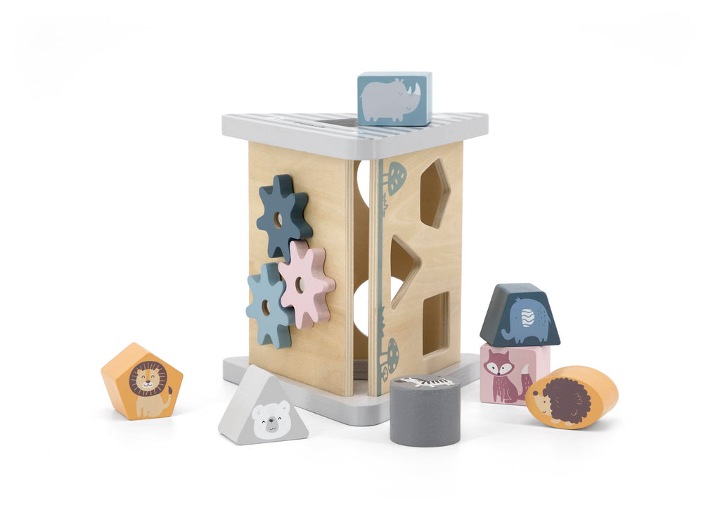 Shape Sorter & Gear Play
