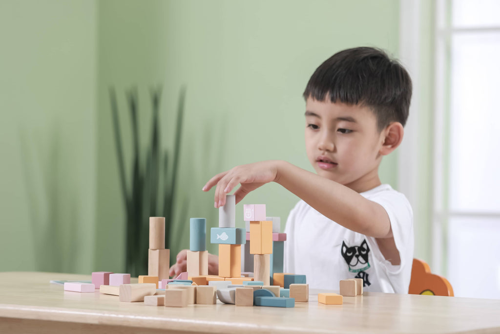 Wooden Blocks | 60pcs