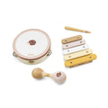 Music Set | Hedgehog