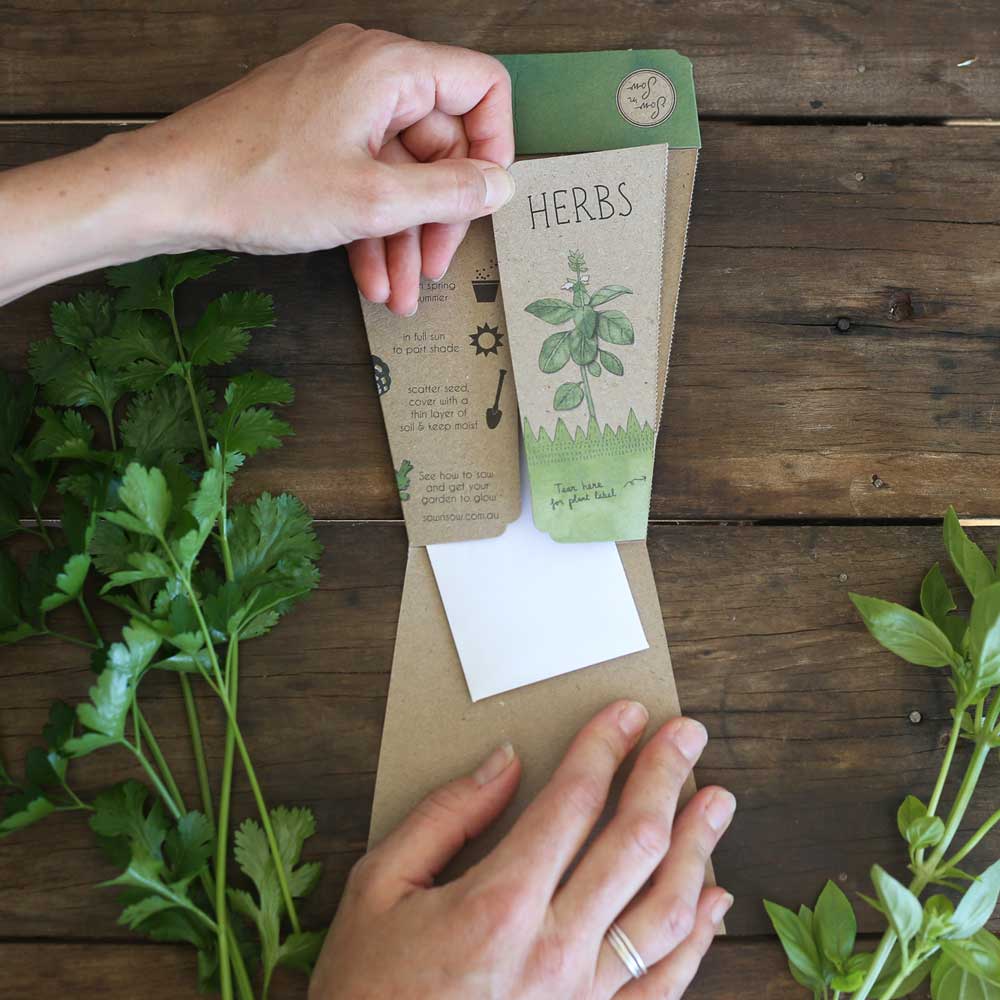 Trio of Herbs Gift of Seeds | Sow 'n Sow