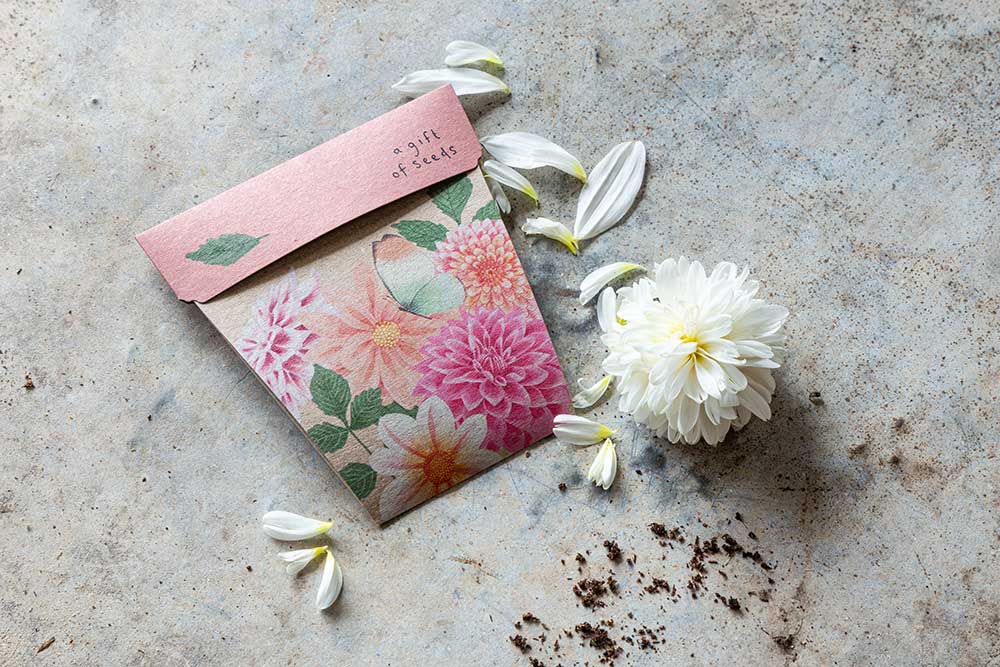 Dahlia Gift of Seeds | Sow 'n Sow