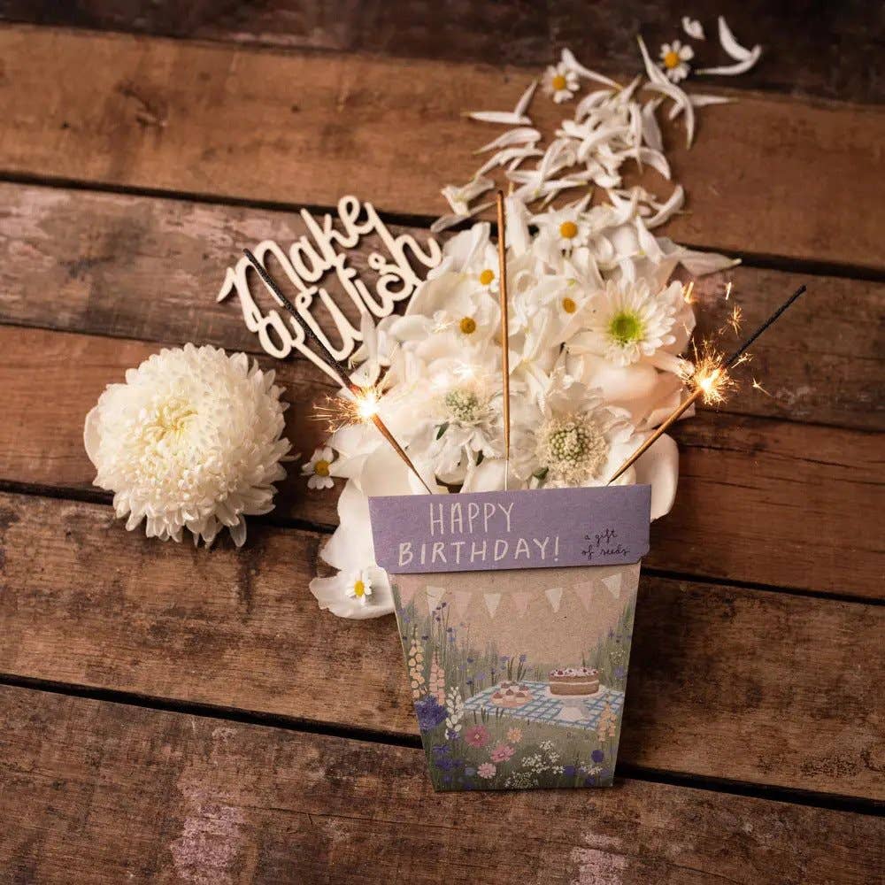 Happy Birthday Picnic Gift of Seeds | Sow 'n Sow