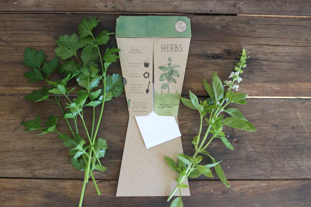 Trio of Herbs Gift of Seeds | Sow 'n Sow