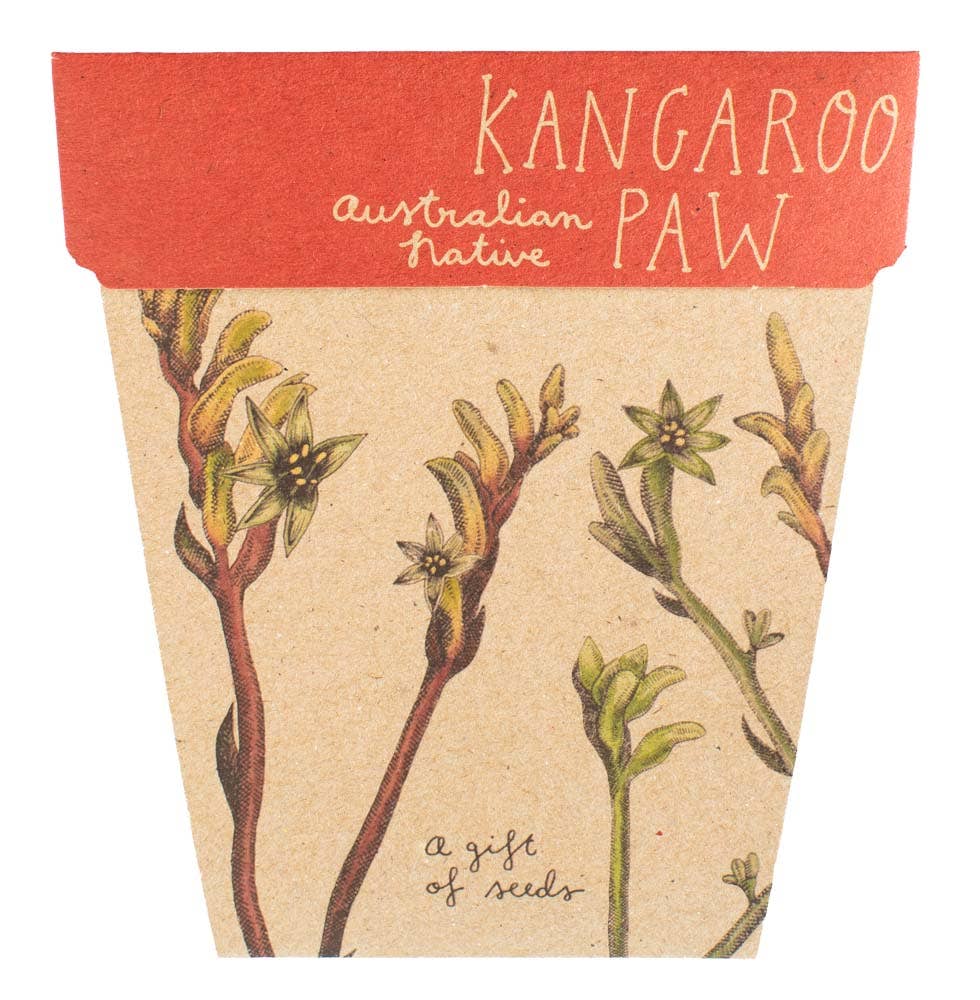 Kangaroo Paw Gift of Seeds | Sow 'n Sow