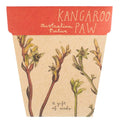 Kangaroo Paw Gift of Seeds | Sow 'n Sow