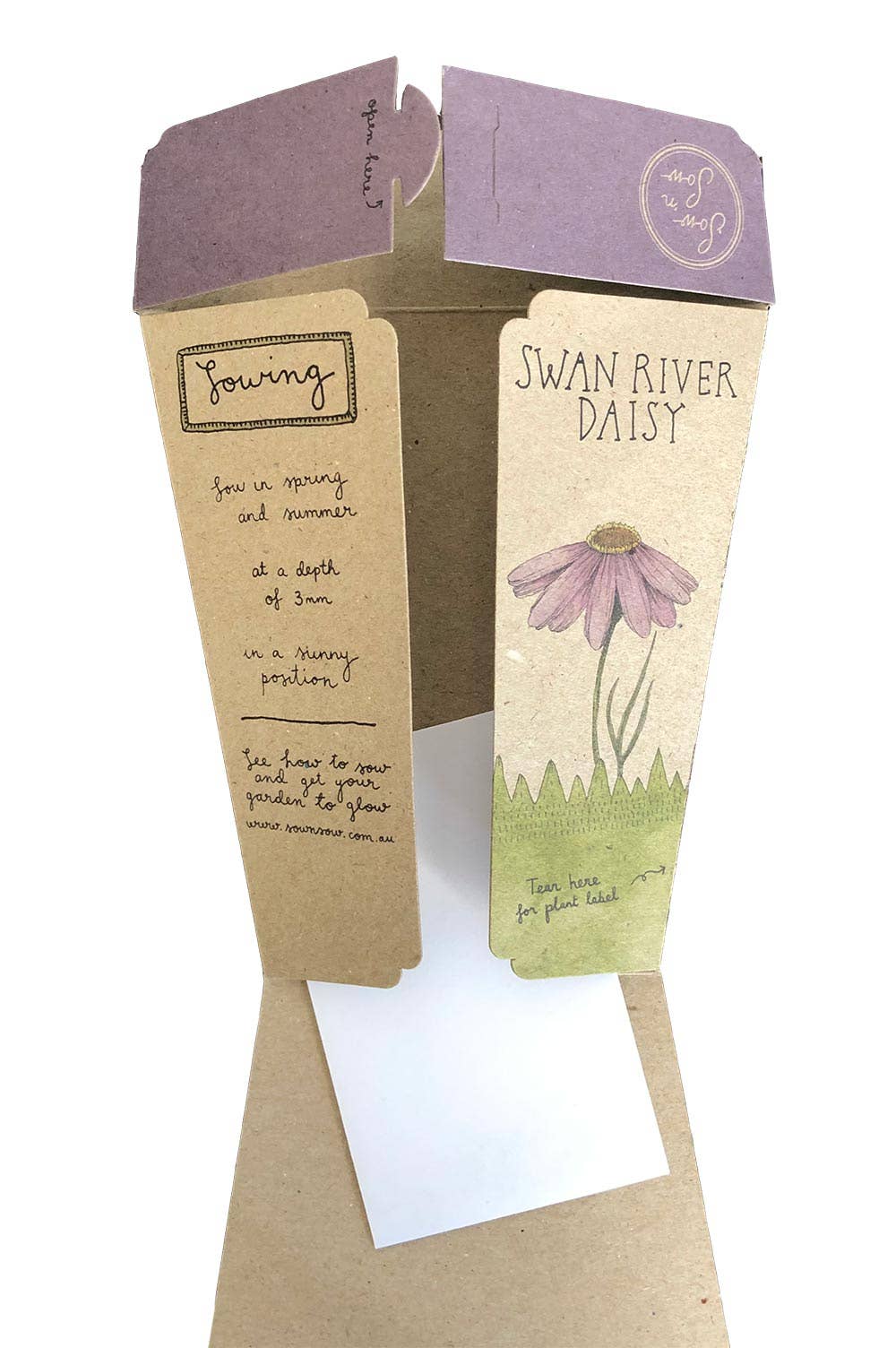 Swan River Daisy Gift of Seeds | Sow 'n Sow