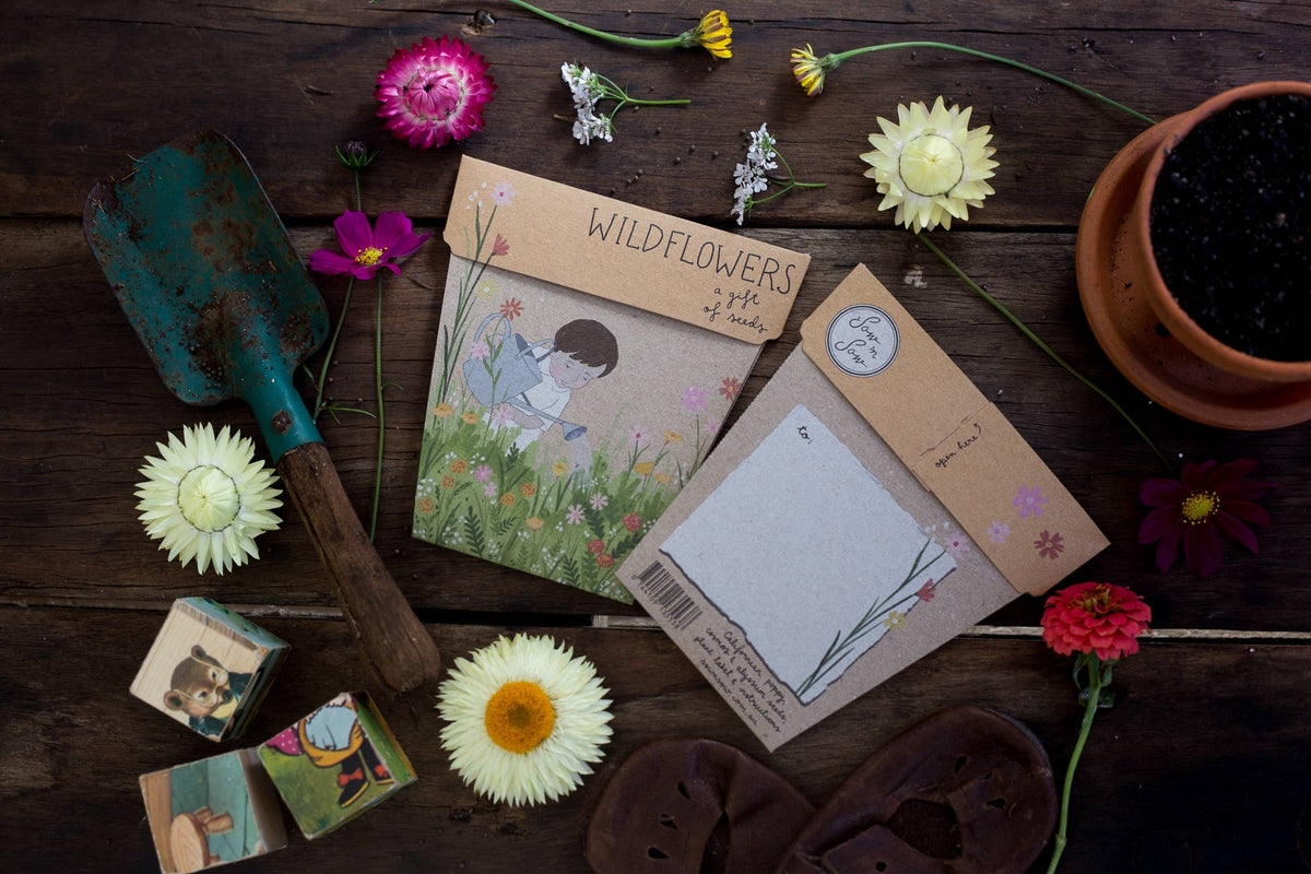 Wildflowers Gift of Seeds | Sow 'n Sow