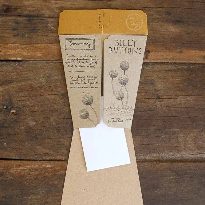 Billy Buttons Gift of Seeds | Sow 'n Sow