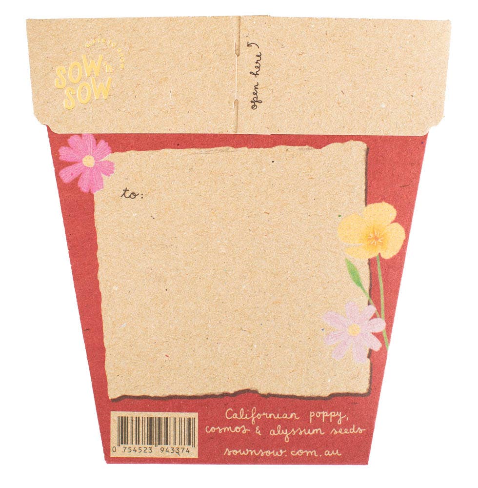 Christmas Wildflowers Gift of Seeds | Sow 'n Sow