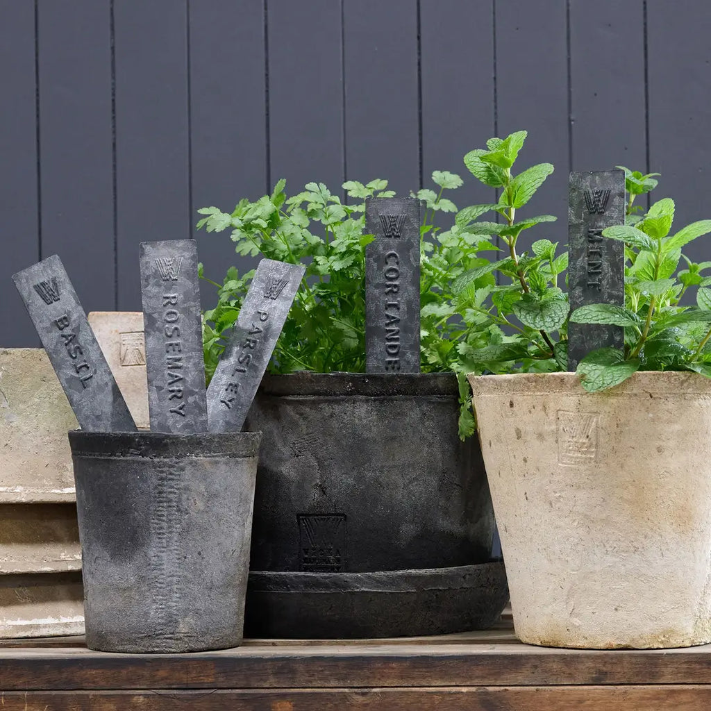 Herb Stakes