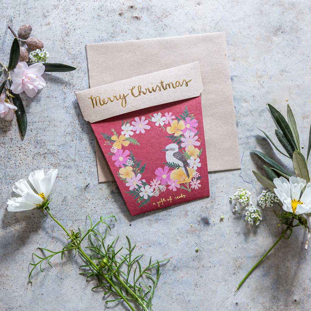 Christmas Wildflowers Gift of Seeds | Sow 'n Sow