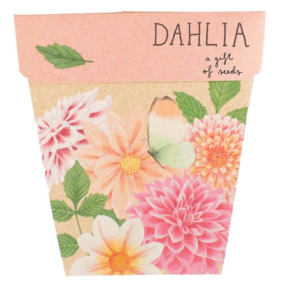 Dahlia Gift of Seeds | Sow 'n Sow