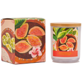 Artist Series | Mediterranean Fig | Mia Pensa