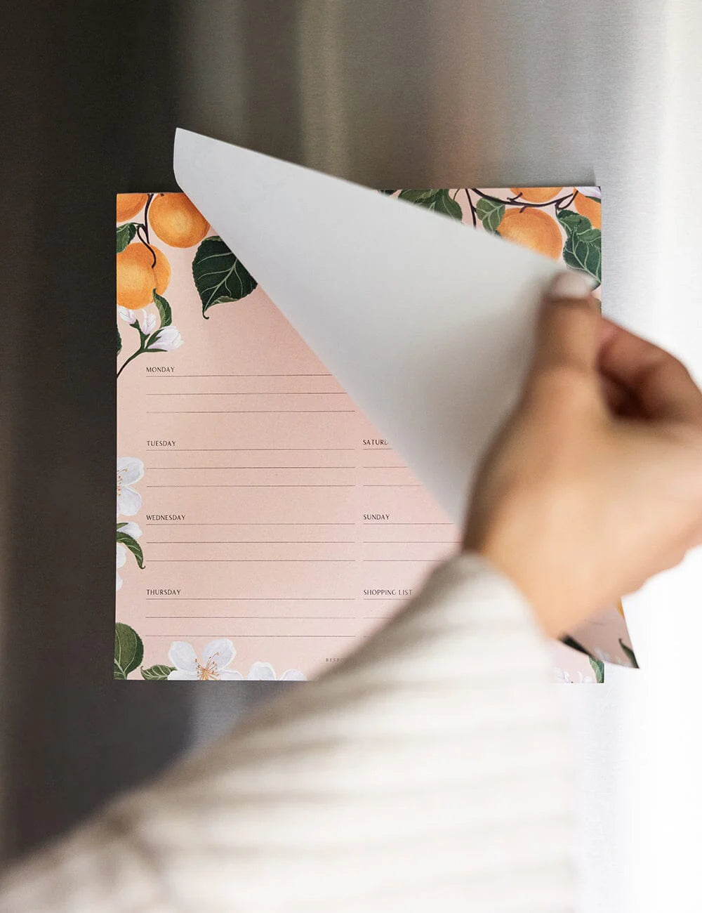 Meal Planner Notepad | Peaches