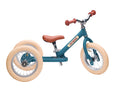 Blue Vintage Trybike
