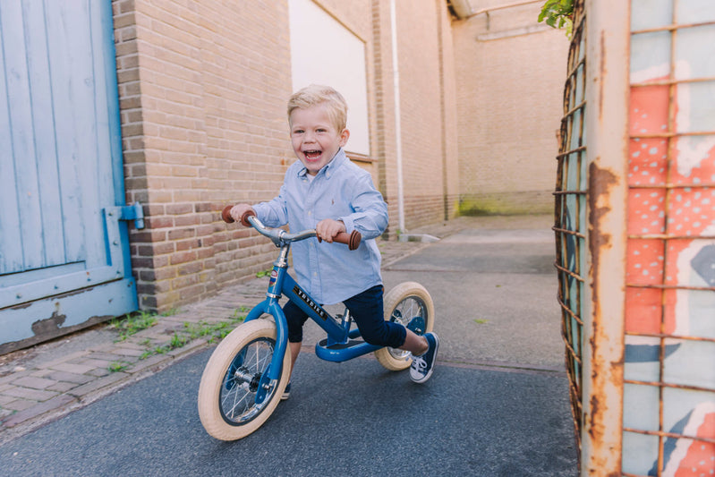 Blue Vintage Trybike