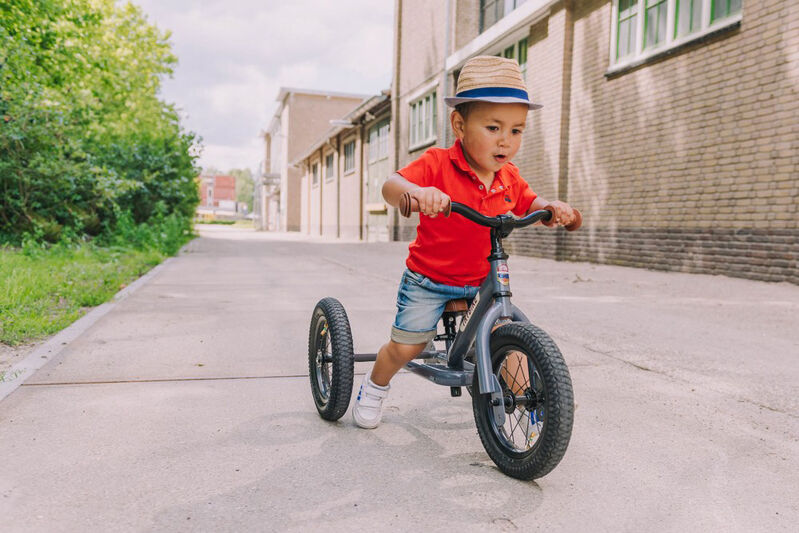 Grey Vintage Trybike