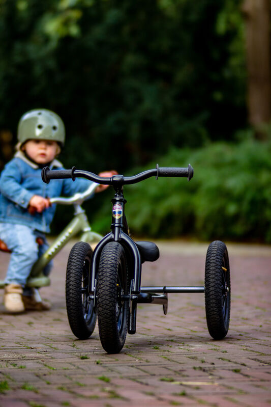 Black Vintage Trybike