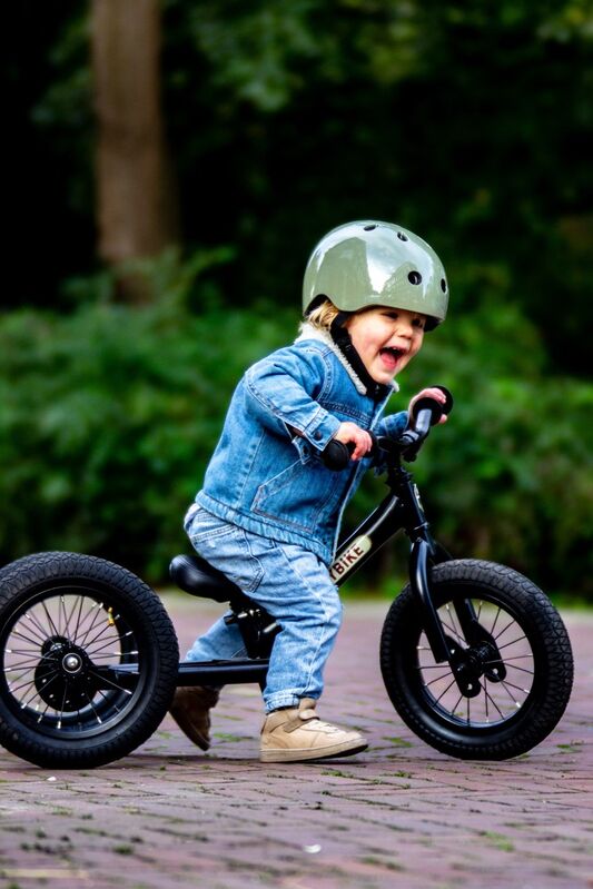 Black Vintage Trybike