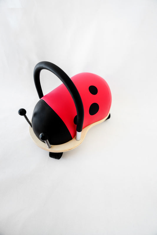 Small ladybug Wheely Bug