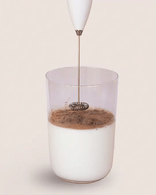 Nutra Organics Whiz Stick - Electric Mixer