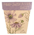 Swan River Daisy Gift of Seeds | Sow 'n Sow