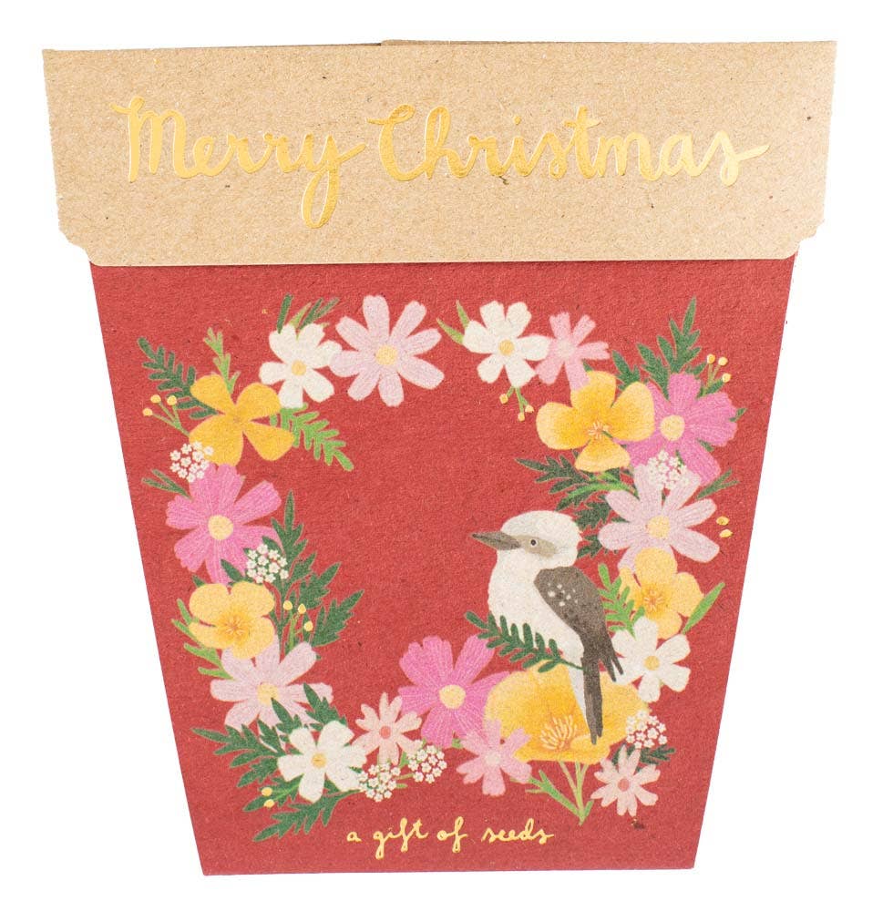 Christmas Wildflowers Gift of Seeds | Sow 'n Sow