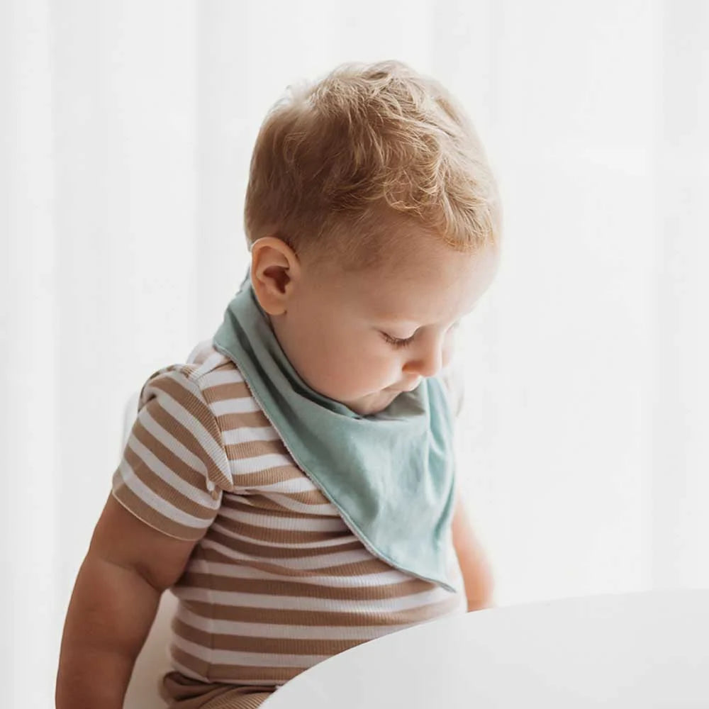 Snuggle Hunny Sage Organic Dribble Bib
