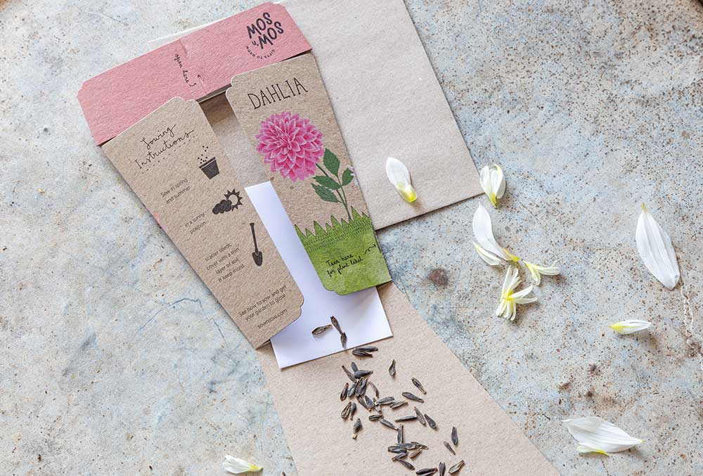 Dahlia Gift of Seeds | Sow 'n Sow