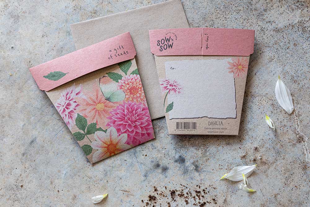 Dahlia Gift of Seeds | Sow 'n Sow